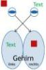 gehirn textlinks